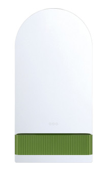 Erabel LED Mirror in Tendril Green (40|50820-030)