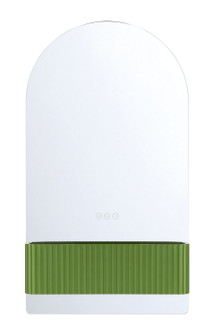 Erabel LED Mirror in Tendril Green (40|50819-034)