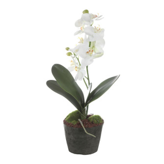 Laris Orchid Drop-In in White (52|60280)