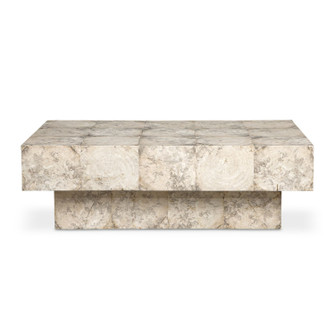 Kotoa Coffee Table in Wood Veneer In A Bleached (52|51140)