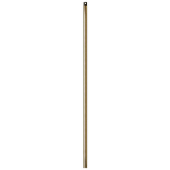 Accessories Accessories in Golden Silver (16|FRD0136GS)