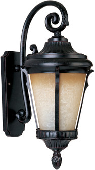 Odessa LED E26 LED Outdoor Wall Sconce in Espresso (16|65014LTES)