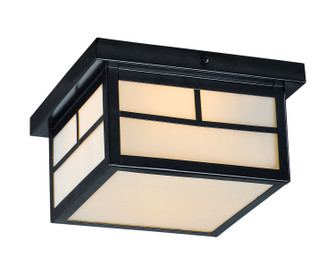 Coldwater Two Light Outdoor Ceiling Mount in Black (16|4059WTBK)