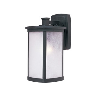 Terrace One Light Outdoor Wall Lantern in Bronze (16|3253FSBZ)