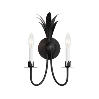 Paloma Two Light Wall Sconce in Anthracite (16|2882AR)