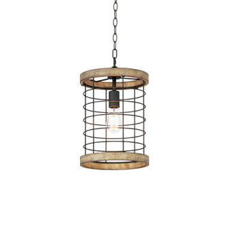 Homestead One Light Pendant in Driftwood / Black (16|12519DWBK)