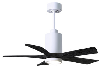 Patricia-5 42'' Ceiling Fan in Gloss White (101|PA5-WH-BK-42)