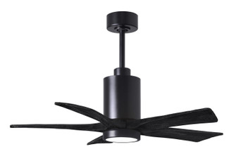 Patricia-5 42'' Ceiling Fan in Matte Black (101|PA5-BK-BK-42)