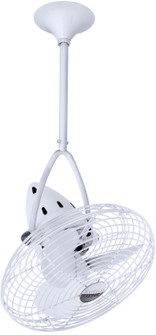 Jarold Direcional 16''Ceiling Fan in Gloss White (101|JD-WH-MTL)
