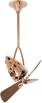 Jarold Direcional 16'' Ceiling Fan in Polished Copper (101|JD-CP-WD)