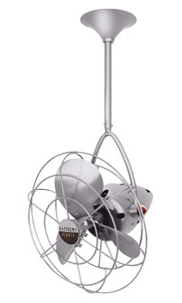 Jarold Direcional 13'' Ceiling Fan in Brushed Nickel (101|JD-BN-MTL-DAMP)