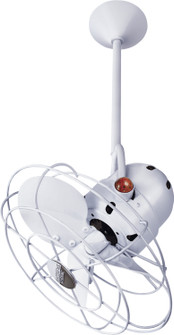 Bianca Direcional 13'' Ceiling Fan in Gloss White (101|BD-WH-MTL)