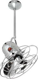 Bianca Direcional 13'' Ceiling Fan in Polished Chrome (101|BD-CR-MTL)