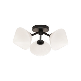 NOVO Three Light Ceiling Mount in Black (423|X81743BKOP)