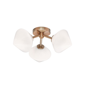 NOVO Three Light Ceiling Mount in Aged Gold Brass (423|X81743AGOP)