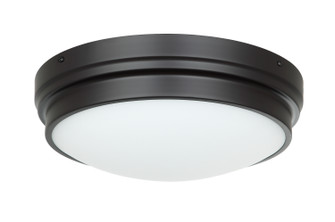 FRESH COLONIAL Two Light Ceiling Mount in Bronze (423|X46402BZ)