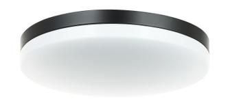 Orion LED Flush Mount in Black (423|M12001BK)