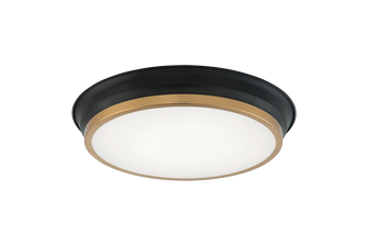 JAXX LED Ceiling Mount in Black + Aged Gold Brass (423|M11202BKAG)