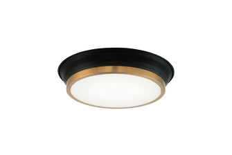JAXX LED Ceiling Mount in Black + Aged Gold Brass (423|M11201BKAG)