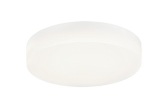 Zelle LED Ceiling Mount in White (423|M10201WH)