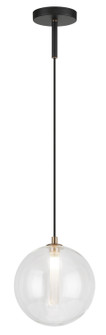 Magma LED Pendant in Clear (423|C81021CL)