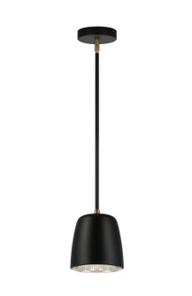 Luca One Light Pendant in Black (423|C73701BK)