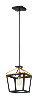 Mavonshire One Light Chandelier in Black + Aged Gold Brass (423|C67001BKAG)