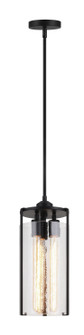 Bayou Three Light Pendant in Black (423|C62203BK)