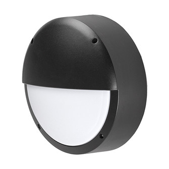 LED Outdoor Wall Sconce in Black (347|EW1614-BK)