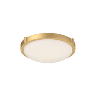 Floyd LED Flush Mount in Brushed Gold (347|501102BG-LED)