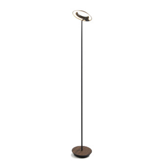 Royyo LED Floor Lamp in Matte Black, Oiled Walnut (240|RYO-SW-MTB-OWT-FLR)