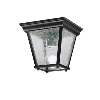 One Light Outdoor Ceiling Mount in Black (12|9859BK)