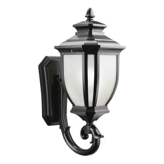 Salisbury One Light Outdoor Wall Mount in Black (12|9041BK)