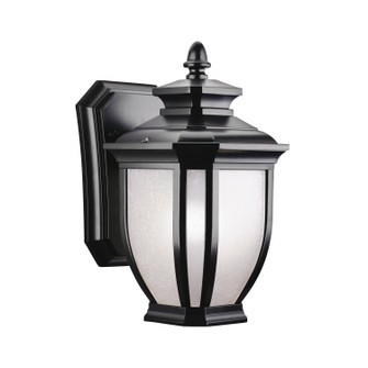 Salisbury One Light Outdoor Wall Mount in Black (12|9039BK)