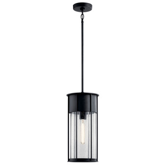 Camillo One Light Outdoor Pendant in Textured Black (12|59082BKT)