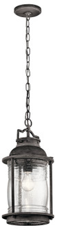 Ashland Bay One Light Outdoor Pendant in Weathered Zinc (12|49572WZC)