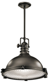 Hatteras Bay One Light Pendant in Olde Bronze (12|2691OZ)