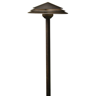 LED Path Light in Aged Bronze (12|16124AGZ27)