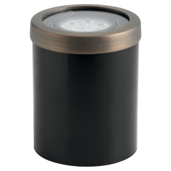One Light Well Trim in Centennial Brass (12|15507CBR)