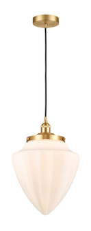 Edison One Light Mini Pendant in Satin Gold (405|616-1PH-SG-G661-12)