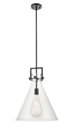 Downtown Urban One Light Pendant in Matte Black (405|411-1SL-BK-G411-16CL)