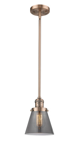 Franklin Restoration LED Mini Pendant in Antique Copper (405|201S-AC-G63-LED)