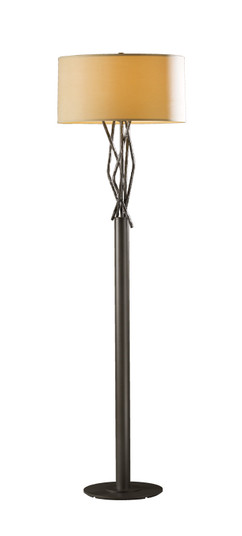 Brindille One Light Floor Lamp in Natural Iron (39|237660-SKT-20-SF1899)