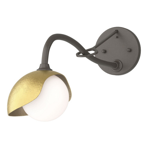 Brooklyn Brooklyn 1-Light Single Shade Long-Arm Sconce in Dark Smoke (39|201376-SKT-07-86-GG0711)