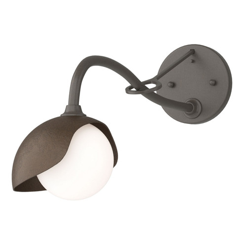 Brooklyn Brooklyn 1-Light Single Shade Long-Arm Sconce in Dark Smoke (39|201376-SKT-07-05-GG0711)