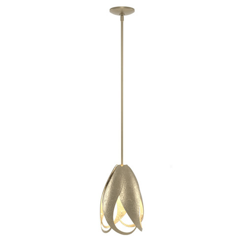 Pental One Light Mini Pendant in Soft Gold (39|188770-SKT-MULT-84)