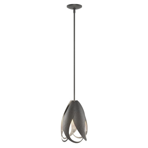 Pental One Light Mini Pendant in Black (39|188770-SKT-MULT-10)