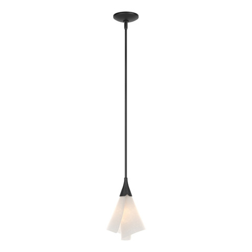 Mobius One Light Mini Pendant in Black (39|184530-SKT-MULT-10-SH1987)