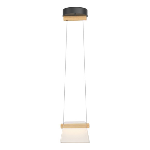 Cowbell Cowbell LED Mini Pendant in Black (39|151060-LED-STND-10-WD-YE0560)