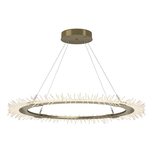 Anemone Anemone Circular LED Pendant in Ink (39|139772-LED-STND-89)